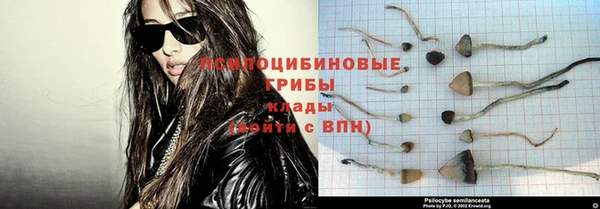 ALPHA PVP Надым